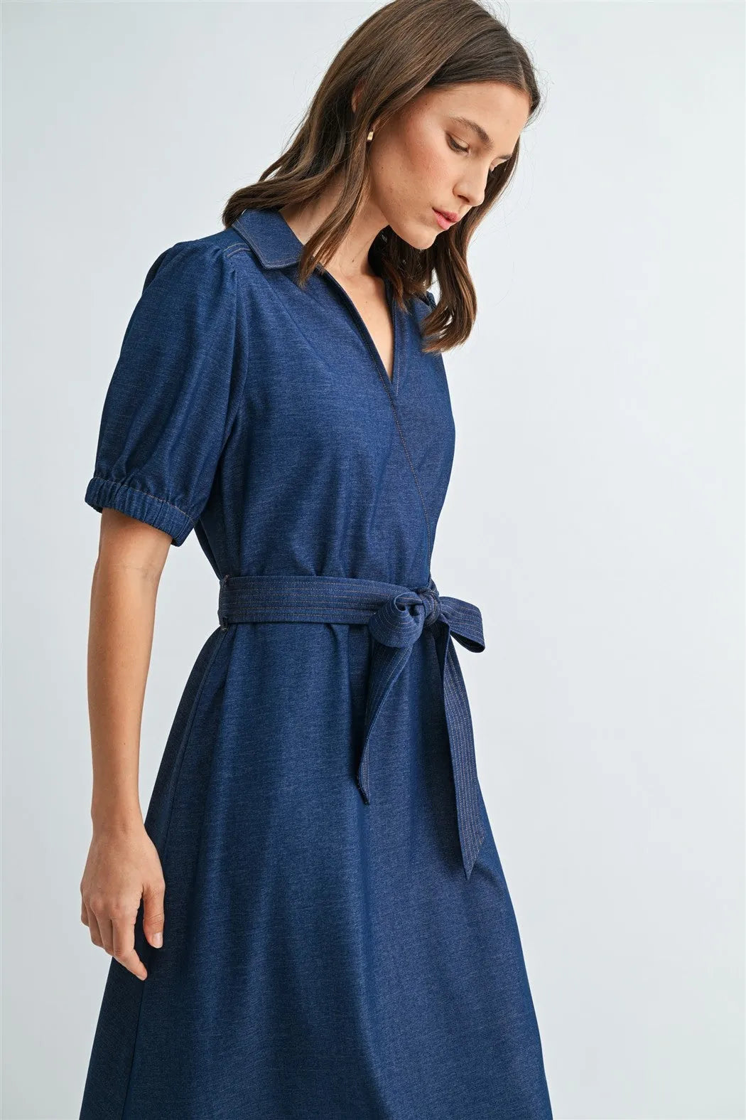 Daphne Denim Dress